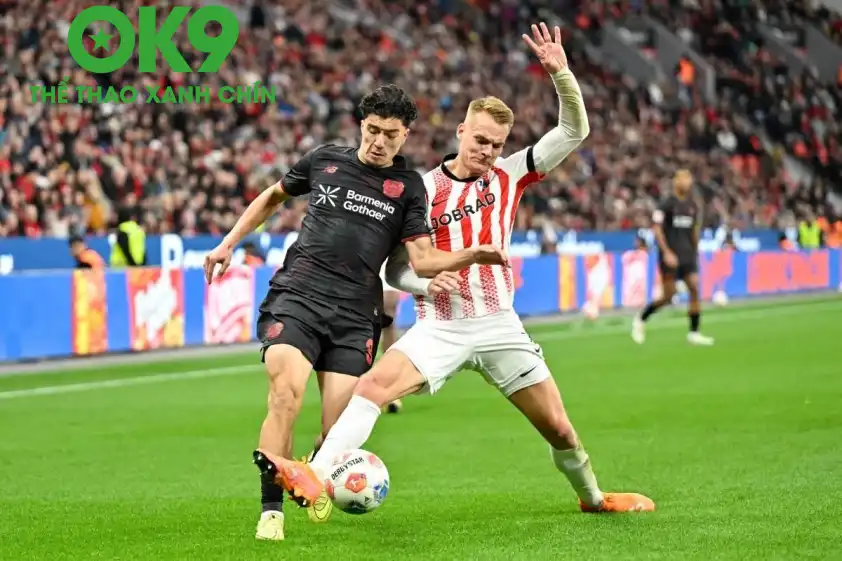 Bayer Leverkusen liệu có lấy trọn 3 điểm thành công trước Freiburg. Bayer Leverkusen liệu có lấy trọn 3 điểm thành công trước Freiburg.